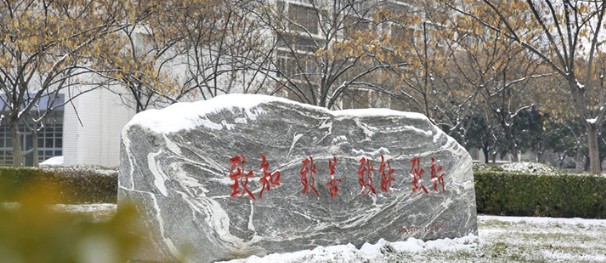 洛阳理工学院2025高考在浙江最低分数线多少？最低531分