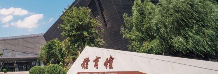 2025山东考多少分能考上东北大学？2025最低510 参考近三年专业位次