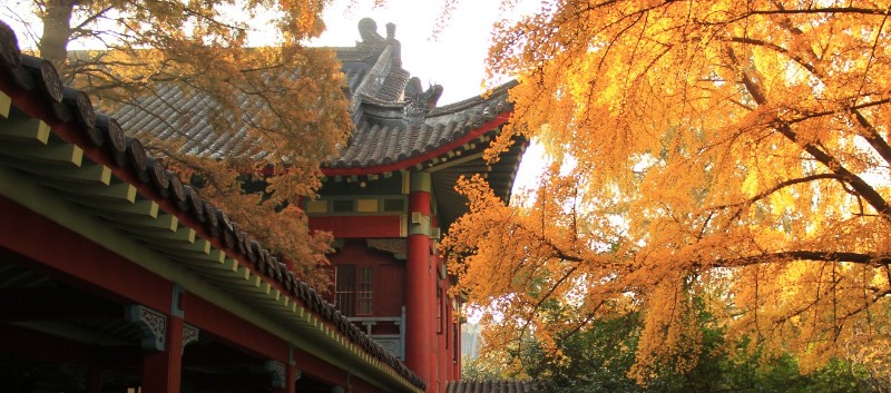 2024南京师范大学吉林专业录取分数线多少分 2025参考最低144分