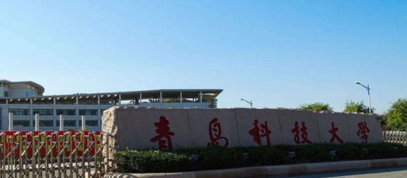 青岛科技大学2025年在甘肃专业录取分数线
