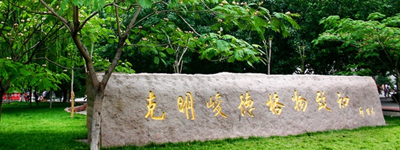 山东财经大学中外合作办学2025年在福建省专业录取分数线