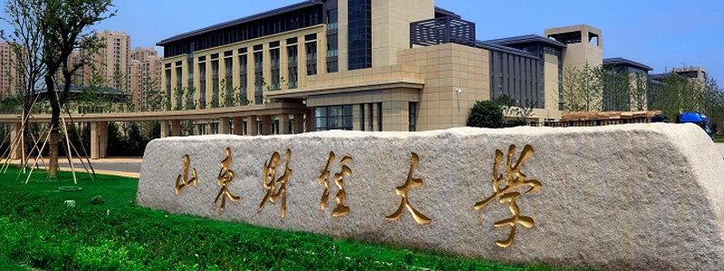 山东财经大学2025高考中外合作办学分数线