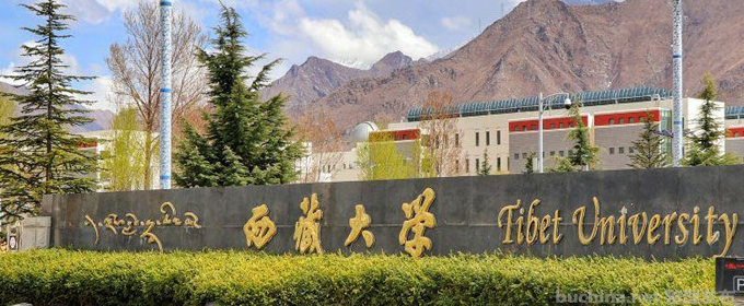 2024西藏大学在河南本科二批最低录取分数线和录取人数统计