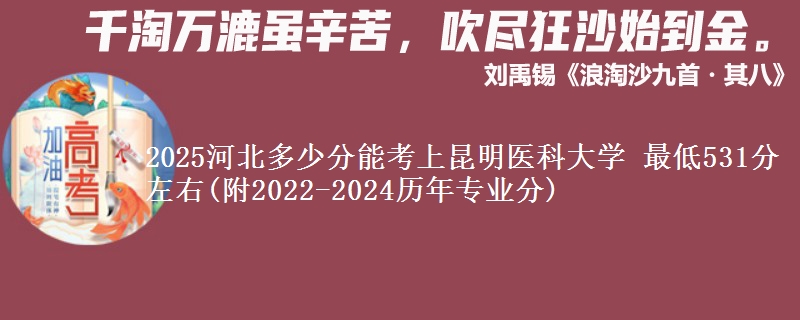 2025河北多少分能考上昆明医科大学 最低531分左右(附2022-2024历年专业分)