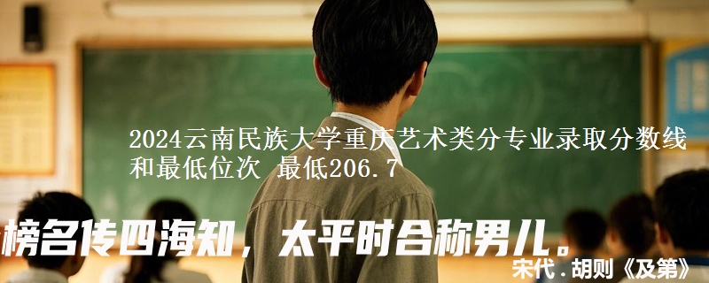2024云南民族大学重庆艺术类分专业录取分数线和最低位次 最低206.7