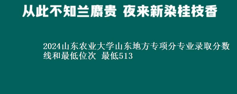 2024山东农业大学山东地方专项分专业录取分数线和最低位次 最低513