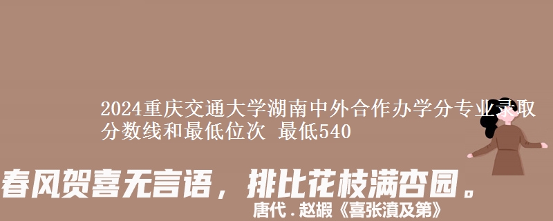 2024重庆交通大学湖南中外合作办学分专业录取分数线和最低位次 最低540
