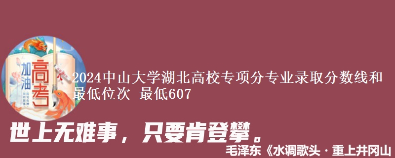 2024中山大学湖北高校专项分专业录取分数线和最低位次 最低607