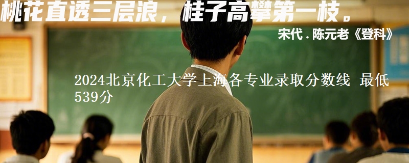 2024北京化工大学在上海各专业录取分数线 最低539分