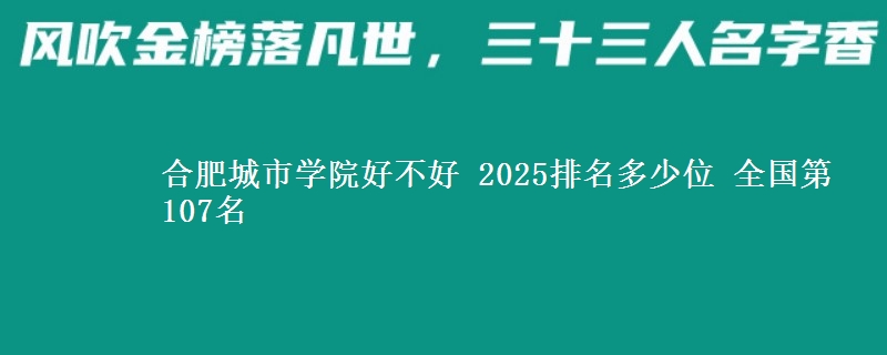 合肥城市学院好不好 2025排名多少位 全国第107名