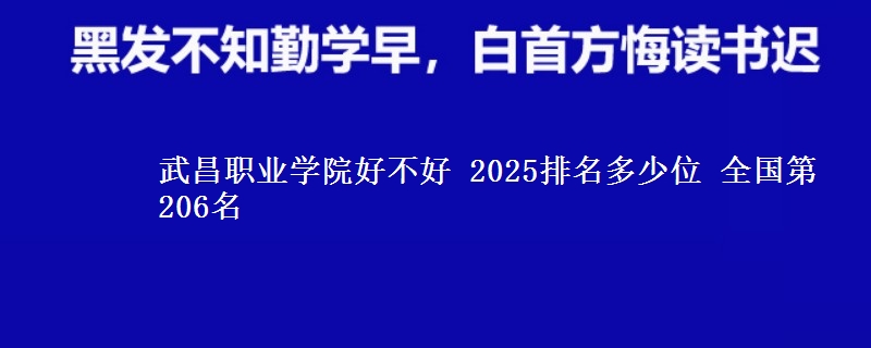 武昌职业学院好不好 2025排名多少位 全国第206名