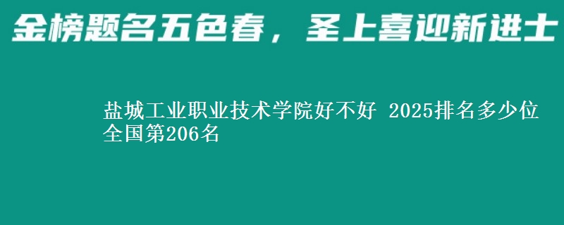 盐城工业职业技术学院好不好 2025排名多少位 全国第206名