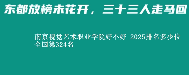 南京视觉艺术职业学院好不好 2025排名多少位 全国第324名