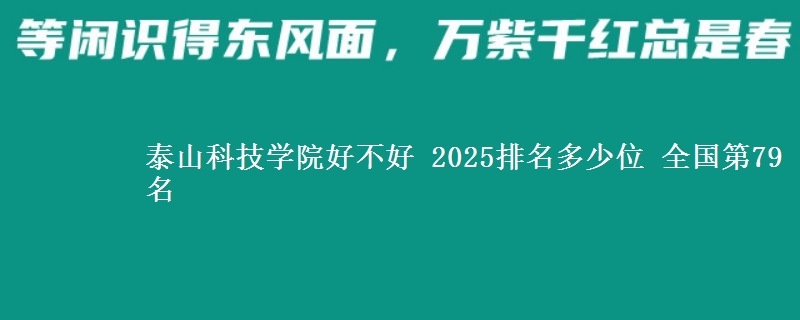泰山科技学院好不好 2025排名多少位 全国第79名