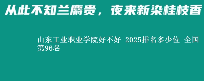 山东工业职业学院好不好 2025排名多少位 全国第96名