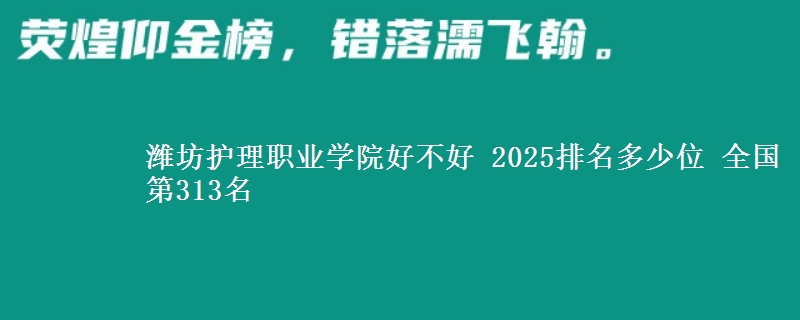 潍坊护理职业学院好不好 2025排名多少位 全国第313名