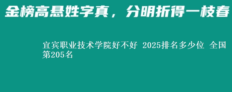宜宾职业技术学院好不好 2025排名多少位 全国第205名