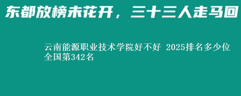 云南能源职业技术学院好不好 2025排名多少位 全国第342名