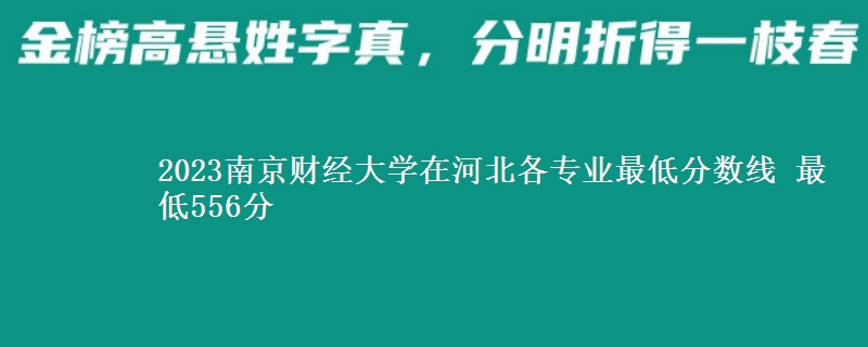 2023南京财经大学在河北各专业最低分数线 最低556分