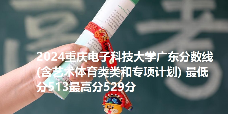 2024重庆电子科技大学广东分数线(含艺术体育类类和专项计划) 最低分513最高分529分