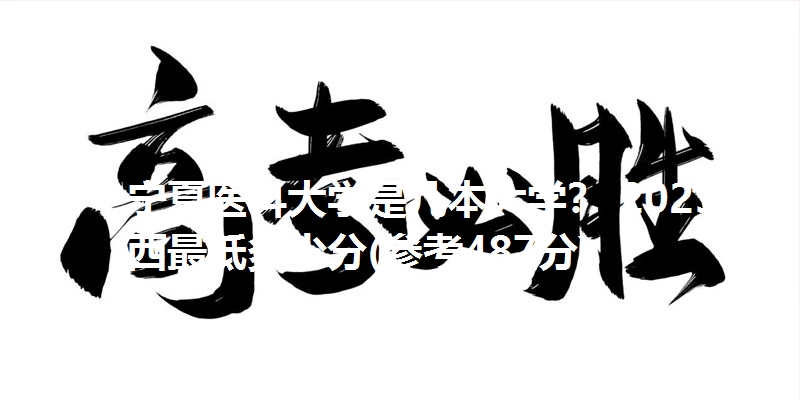 宁夏医科大学是几本大学? 2025山西最低多少分(参考487分)