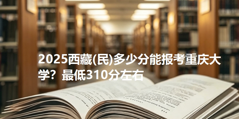 2025西藏(民)多少分能报考重庆大学?最低310分左右