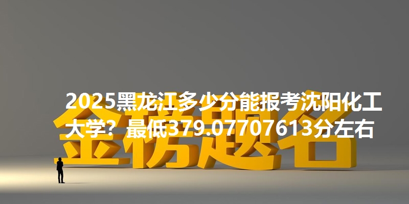 2025黑龙江多少分能报考沈阳化工大学?最低379.07707613分左右