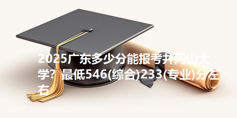 2025广东多少分能报考井冈山大学?最低546(综合)233(专业)分左右