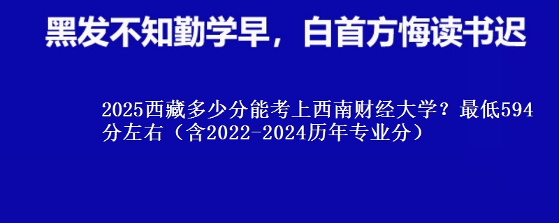 2025西藏多少分能考上西南财经大学？最低594分左右（含2022-2024历年专业分）