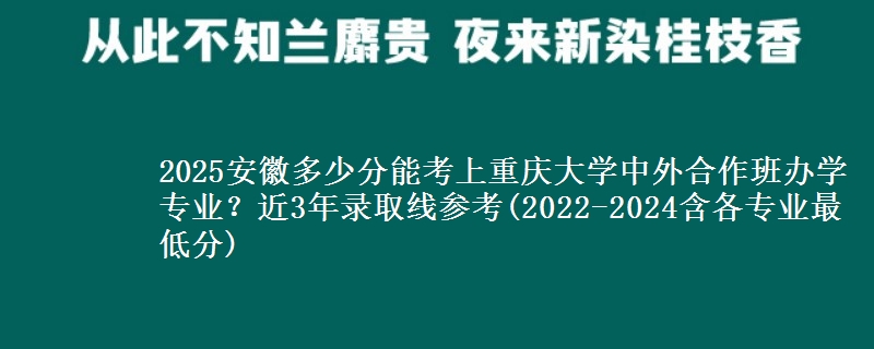 2025安徽多少分能考上重庆大学中外合作班办学专业？近3年录取线参考(2022-2024含各专业最低分)