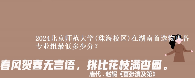 2024北京师范大学(珠海校区)在湖南物理组各专业组最低多少分？