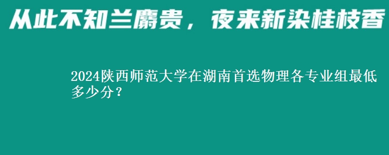 2024陕西师范大学在湖南物理组各专业组最低多少分？