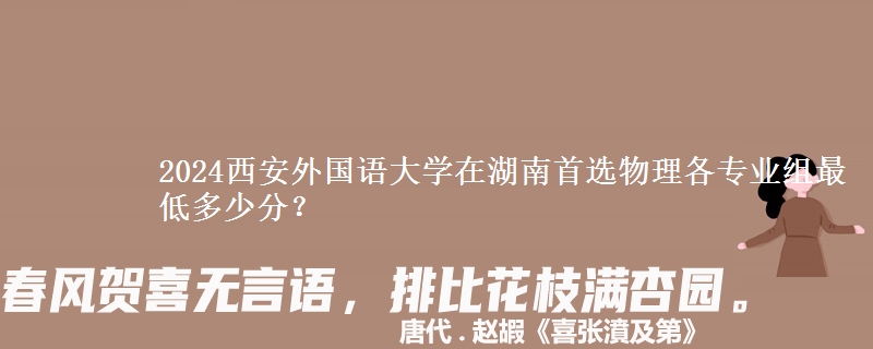 2024西安外国语大学在湖南物理组各专业组最低多少分？