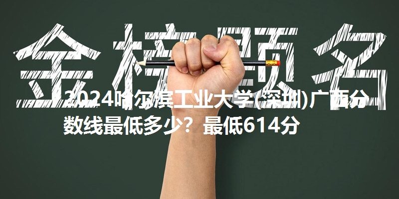2024哈尔滨工业大学(深圳)广西分数线最低多少?最低614分