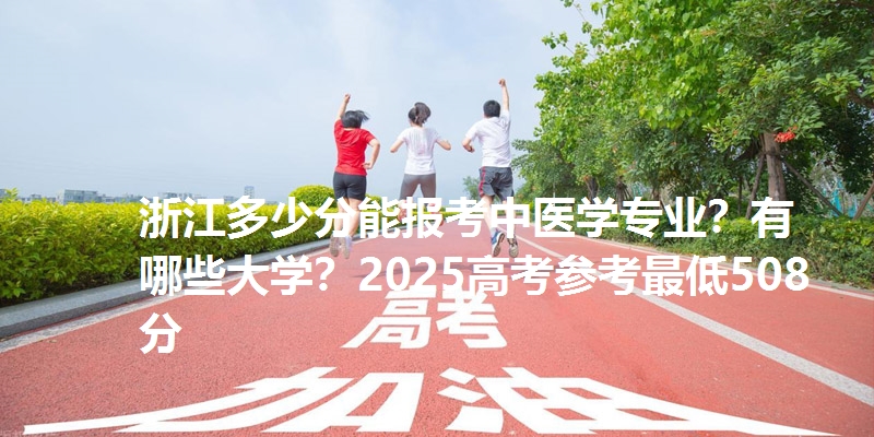 浙江多少分能报考中医学专业?有哪些大学?2025高考参考最低508分