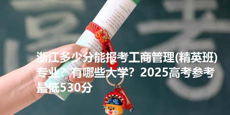 浙江多少分能报考工商管理(精英班)专业?有哪些大学?2025高考参考最低530分