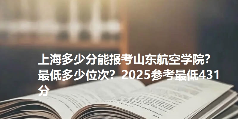 上海多少分能报考山东航空学院?最低多少位次?2025参考最低431分