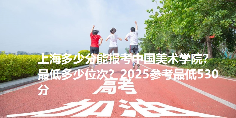 上海多少分能报考中国美术学院?最低多少位次?2025参考最低530分