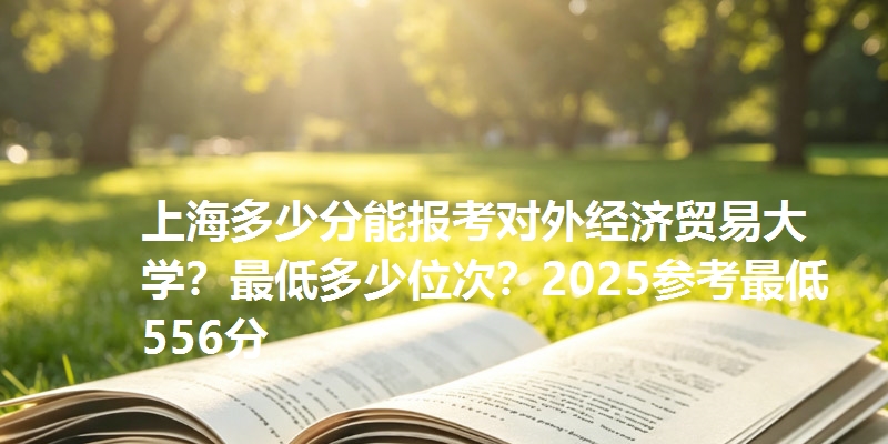 上海多少分能报考对外经济贸易大学?最低多少位次?2025参考最低556分