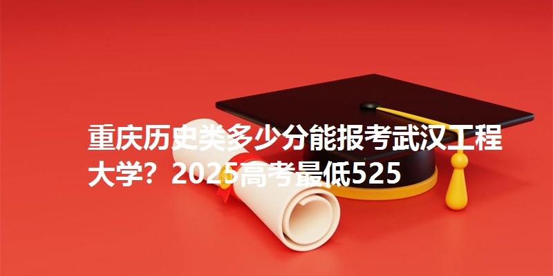 重庆历史类多少分能报考武汉工程大学?2025高考最低525