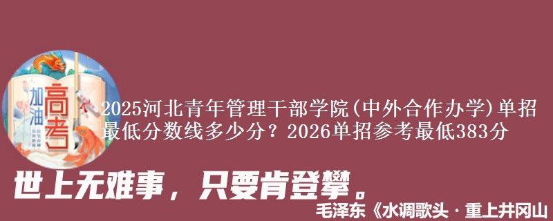 2025河北青年管理干部学院(中外合作办学)单招最低分数线多少分？2026单招参考最低383分