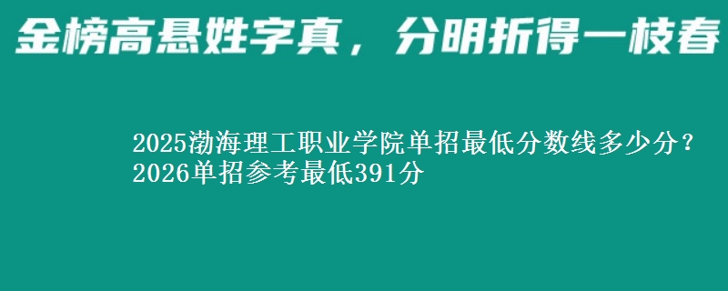 2025渤海理工职业学院单招最低分数线多少分？2026单招参考最低391分