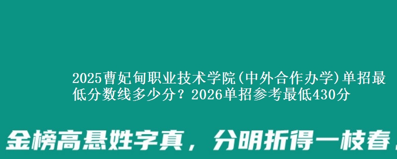 2025曹妃甸职业技术学院(中外合作办学)单招最低分数线多少分？2026单招参考最低430分