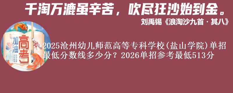 2025沧州幼儿师范高等专科学校(盐山学院)单招最低分数线多少分？2026单招参考最低513分