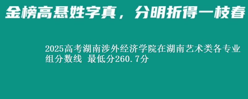 2025年湖南涉外经济学院在湖南艺术类分数线：最低260.7分
