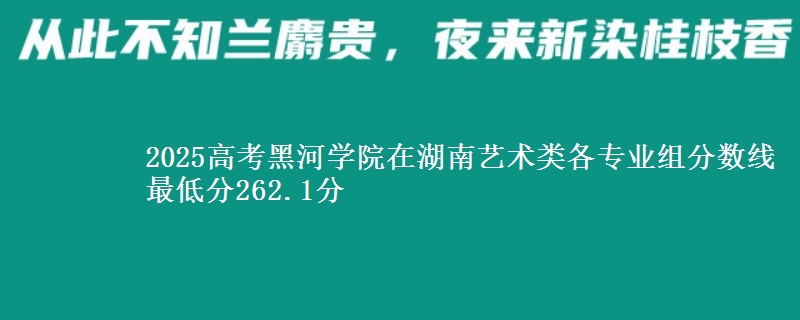 2025年黑河学院在湖南艺术类分数线：最低262.1分