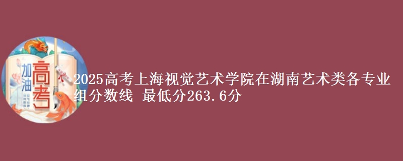 2025年上海视觉艺术学院在湖南艺术类分数线：最低263.6分