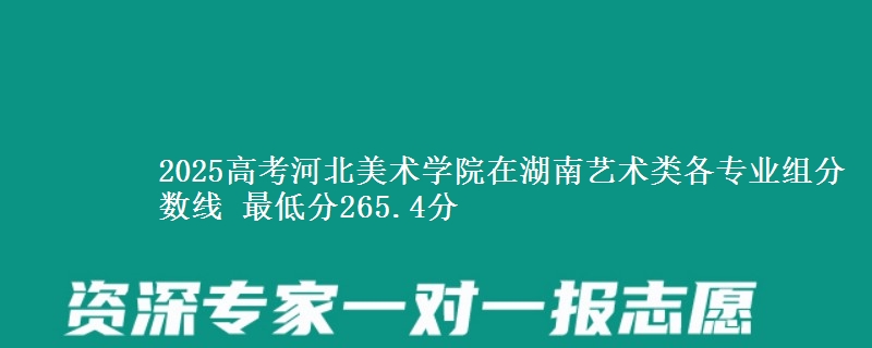 2025年河北美术学院在湖南艺术类分数线：最低265.4分