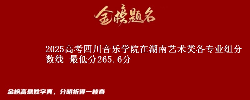 2025年四川音乐学院在湖南艺术类分数线：最低265.6分