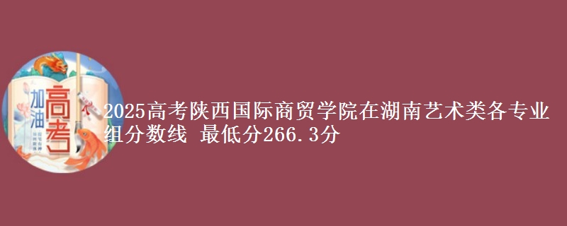 2025年陕西国际商贸学院在湖南艺术类分数线：最低266.3分